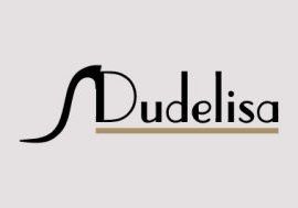 dudelisa-logo